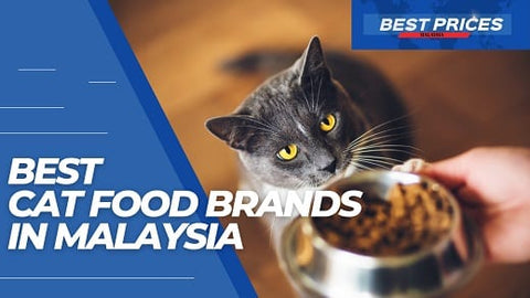 Best Cat Food Brands in Malaysia 