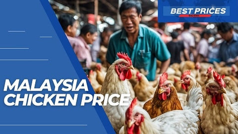 Chicken Price Malaysia 2024 - All You Need to Know