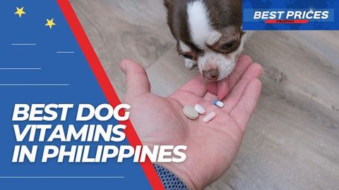 Dog Vitamins Philippines