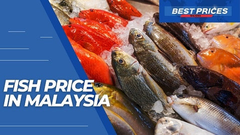 Fish Price Malaysia 2024 - Where to Buy Fresh Fish