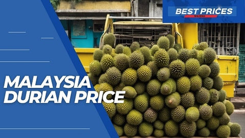 Guide to Malaysia Durian Price 2024