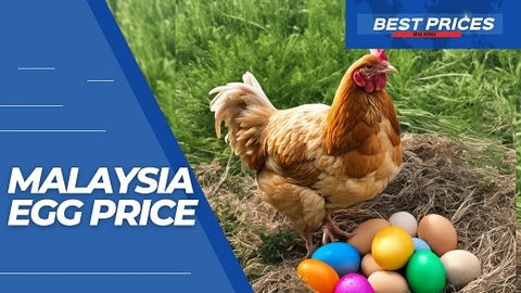 Malaysia Egg Price 2024 - All You Need to Know