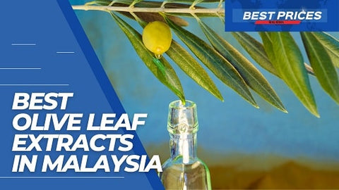 Best Quality Olive Leaf Extract in Malaysia 