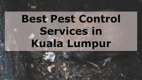 Best Pest Control Services in Kuala Lumpur Malaysia