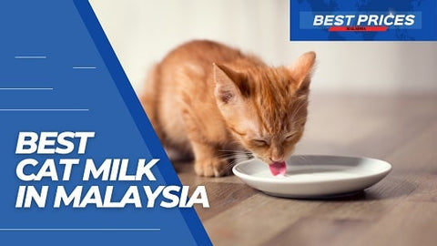 Cat Milk in Malaysia 