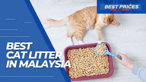 Best Cat Litter in Malaysia 2024 for Your Pet Cats