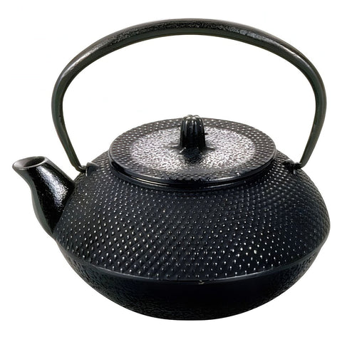 Asahi Cast Iron Tetsukyusu Teapot Arare 300ml