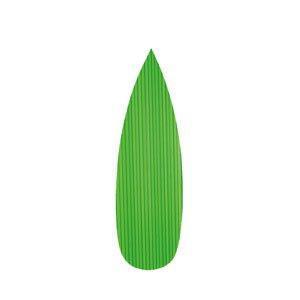 Asahi Sogyo Baran Sushi Decoration Leaf 1000 Pcs Japan Sasagata Medium