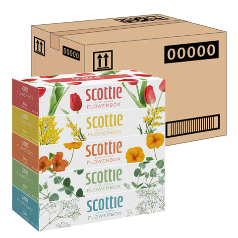 5 Boxes X 12 Packs Scotty Tissue Flower Box 320 Sheets (160 Pairs) - Case Sale By Nippon Paper Crecia Japan