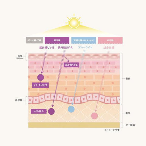 Etvos Mineral UV Veil SPF45 PA+++ 7g - Japanese Sunscreen And Makeup Base Products