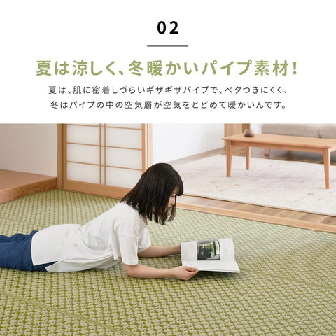 Hagihara Brown Edoma Lewis Flower Rug Japanese Modern Pet Protection 2 Tatami Mats 174X174Cm