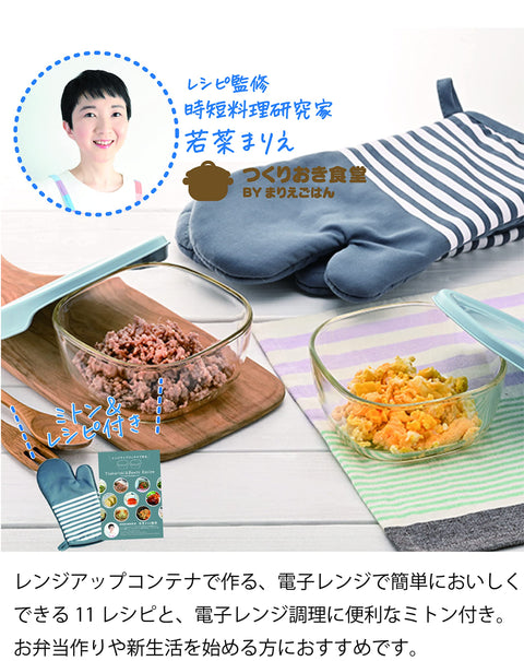 Hario Heat Resistant Glass Range Up Container 2 Piece Set + 2 Mittens 600Ml Japan Kst-2012-Bgr-Cp Blue Gray