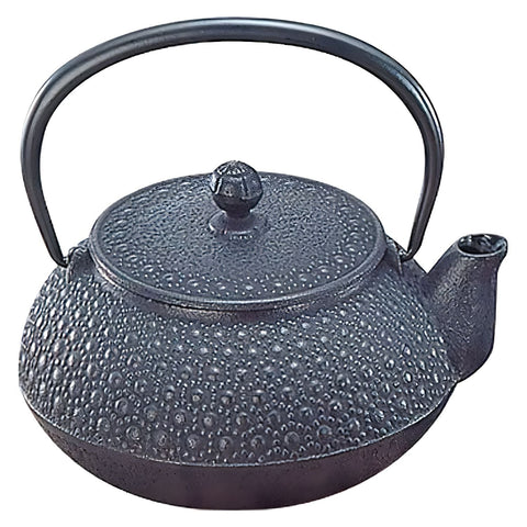 Iwachu Nambu Cast Iron Tetsukyusu Teapot Kikko 650ml