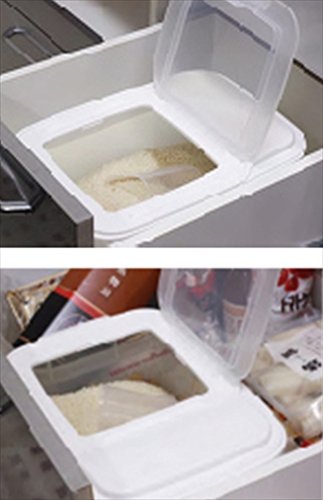 Iwasaki Industry 5Kg Rice Bins Made In Japan For Drawers B-2895Pa With Packing