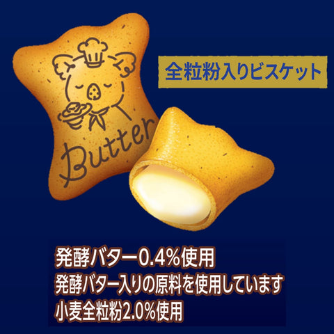 Lotte Koala March Japan (Fermented Butter) 48G X 10 Pieces