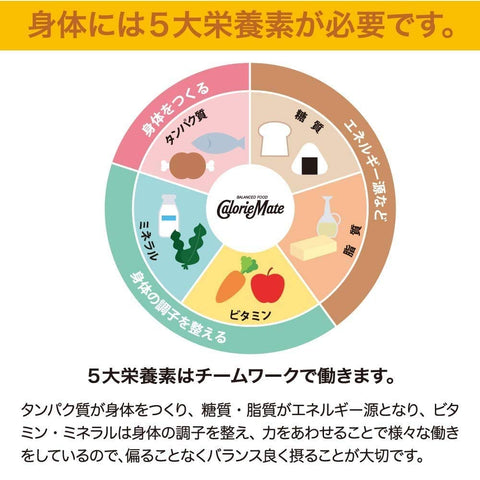 Buy Japan'S Calorie Mate Block Maple 4 X 9 Pieces | Otsuka Pharmaceutical