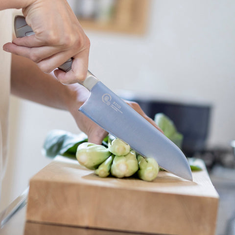 Ryuji Molybdenum Steel Santoku Knife