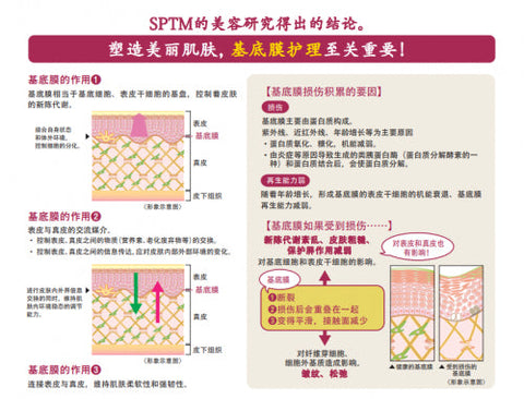 Sptm Beauty Cosmetics Septum Approach X Bm Serum 120ml - Japanese Beauty Lotion